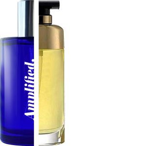 Estée Lauder Spellbound Perfume Impresssion SPE01F at The Perfume Gallery